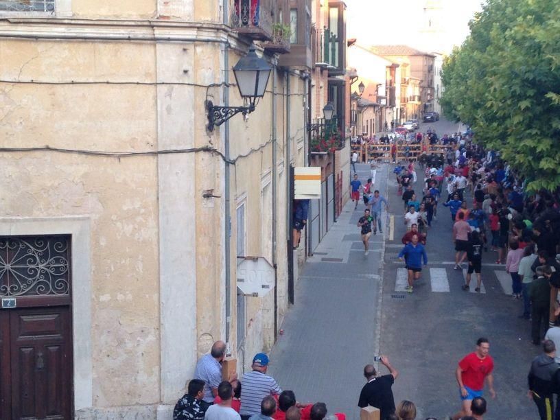 Fiestas Toro: Encierro urbano y suelta de vaquilla