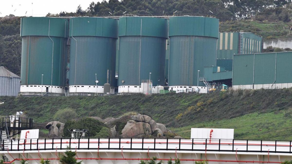 Biodigestores de la planta de tratamiento de residuos de Nostián. |   // VÍCTOR ECHAVE