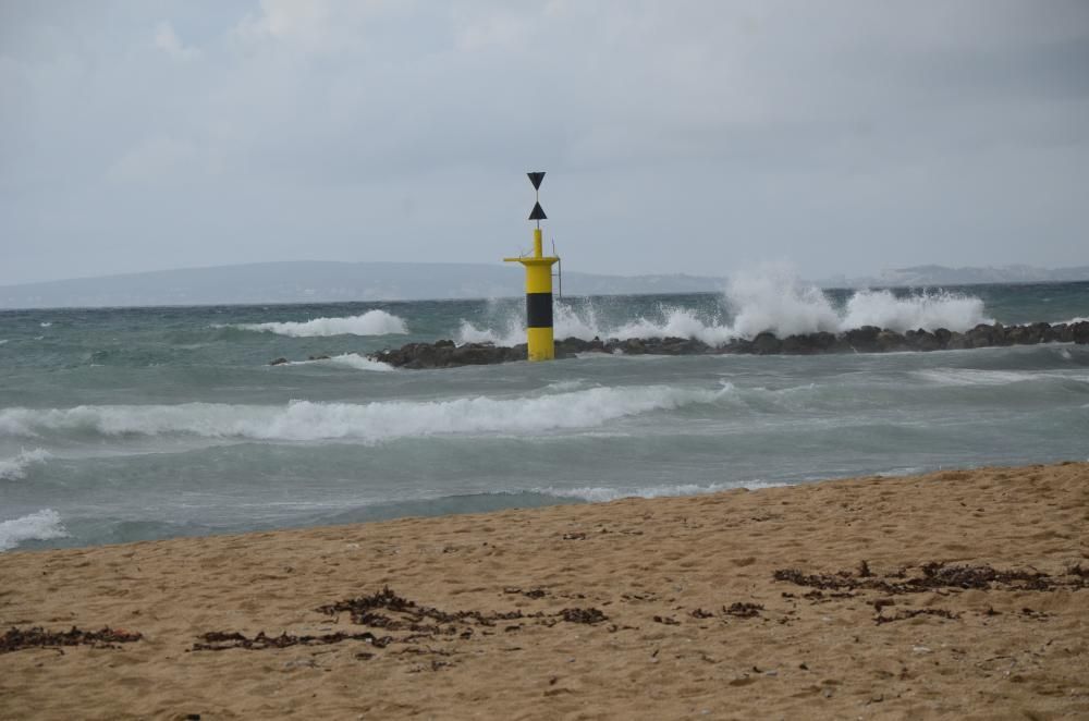 November-Wetter auf Mallorca - den Surfern gefällt's