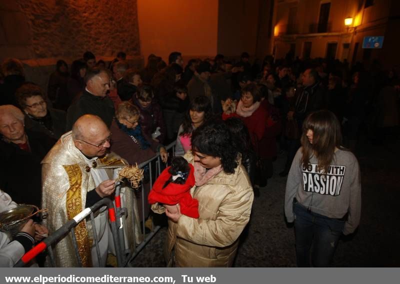 GALERÍA DE FOTOS -- Bendición de animales en Almassora