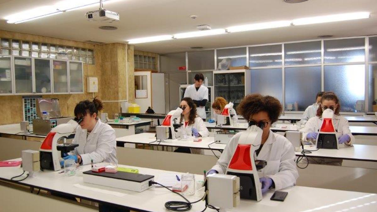 Laboratorio de la Universidad de Murcia.