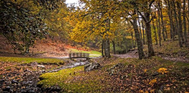 Los 10 mejores paisajes de otoño en España