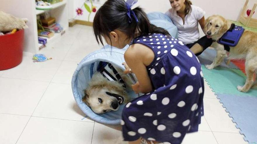 Una niña durante una terapia con perros. jorge santomé