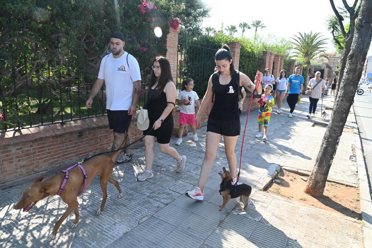 La marcha canina benéfica de Vila-real, en imágenes