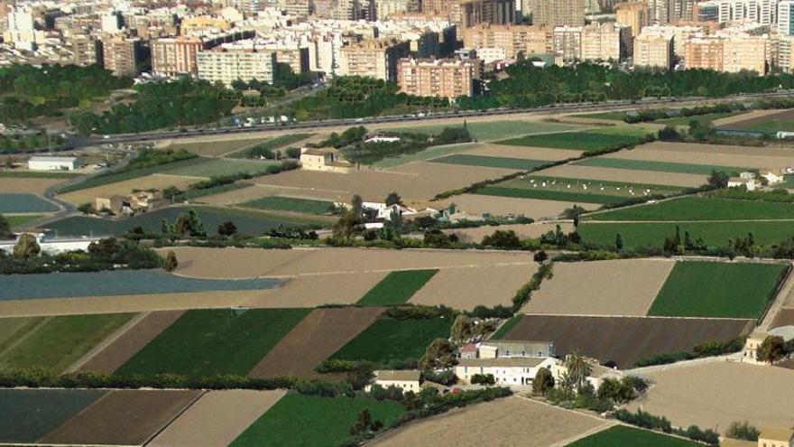 El CES rechaza que el Plan del Consell para la Huerta permita expropiar tierra abandonada