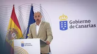 El Gobierno canario aprueba el cese de varios altos cargos para concurrir a las elecciones del 29N