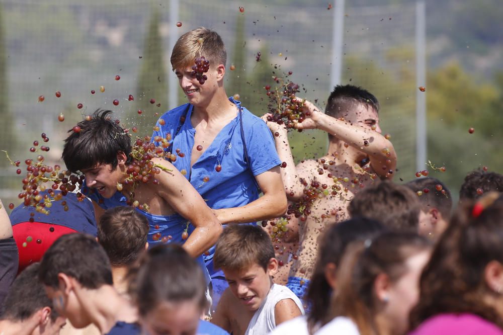 Una guerra con quince toneladas de proyectiles dulces en Binissalem