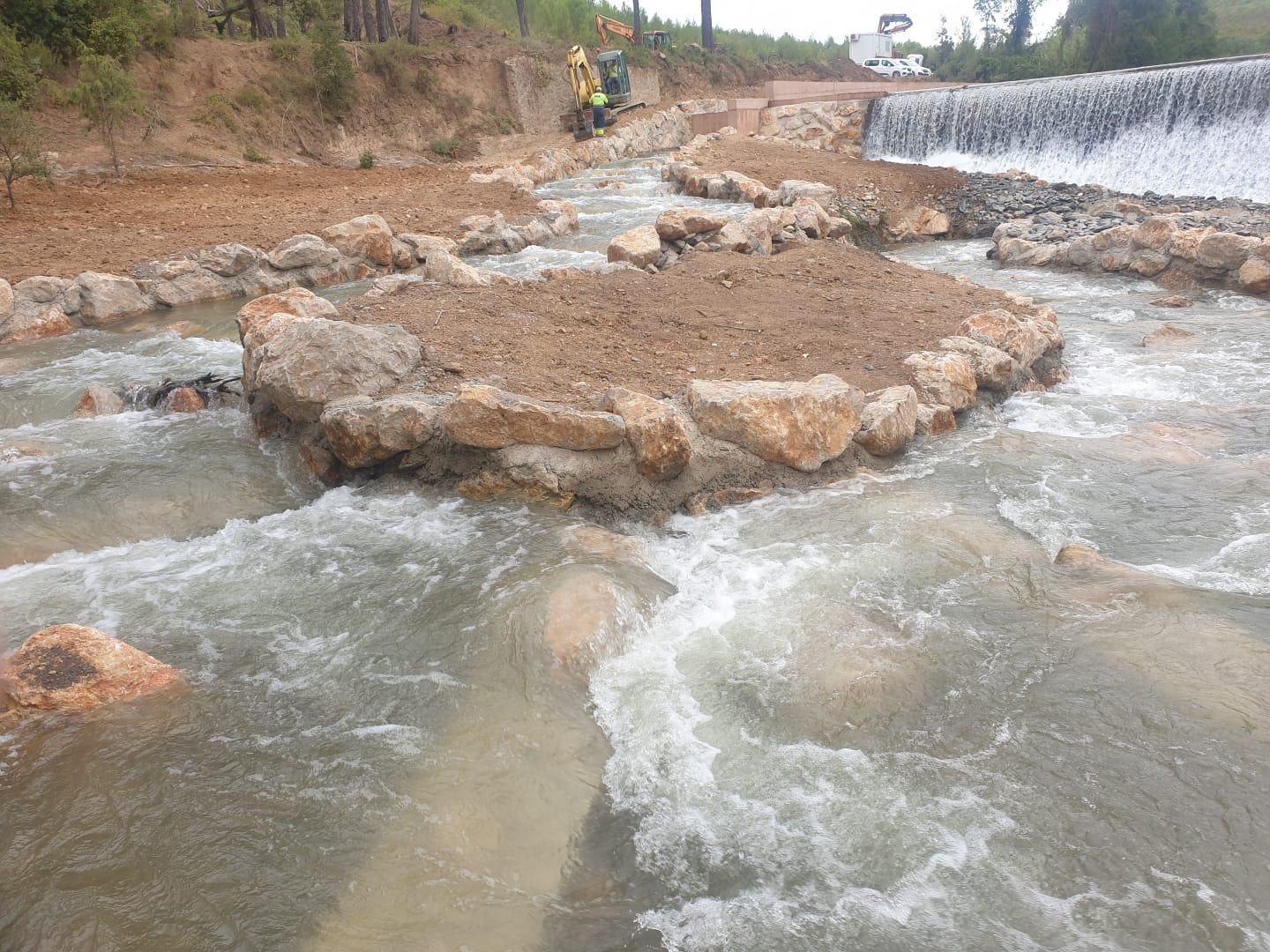 Un nou connector fluvial facilita el moviment dels peixos a Boadella i les Escaules