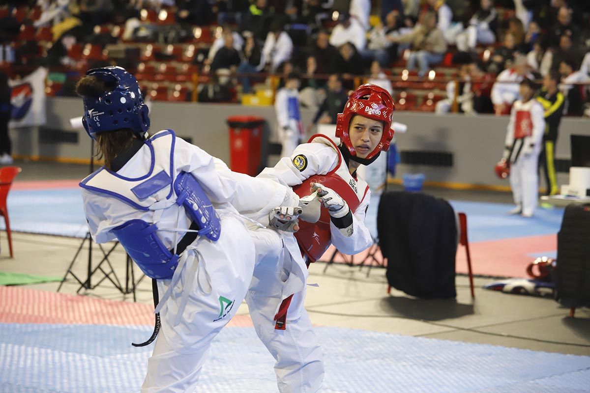 El Open Internacional de Taekwondo de Córdoba, en imágenes