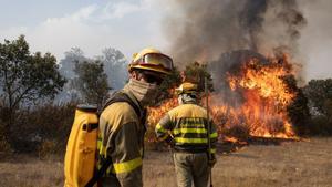 Losacio, el foc més veloç de la història, devora 10.000 hectàrees en quatre hores