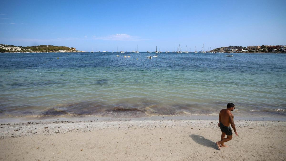 El Ayuntamiento de Ibiza reclama desde hace una década la regulación de fondeos en Talamanca.
