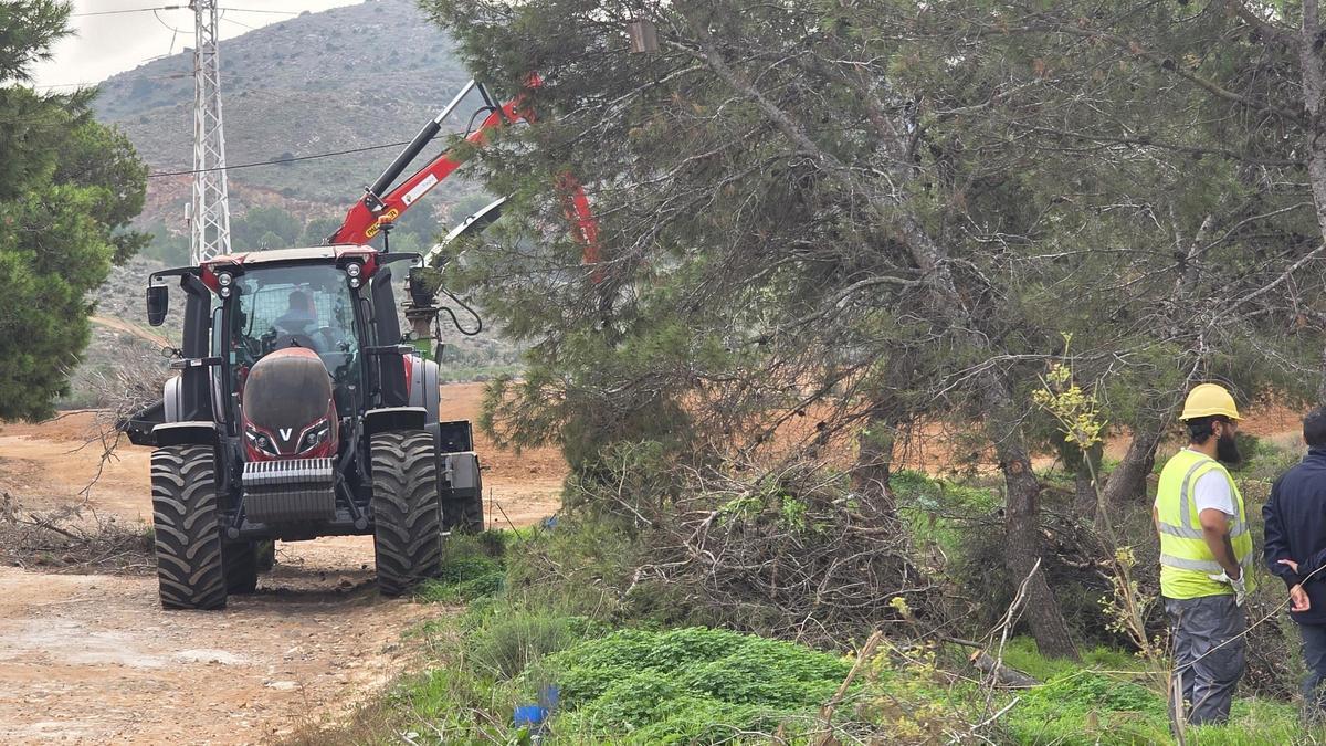 Las obras en las vías pecuarias del Mar Menor.