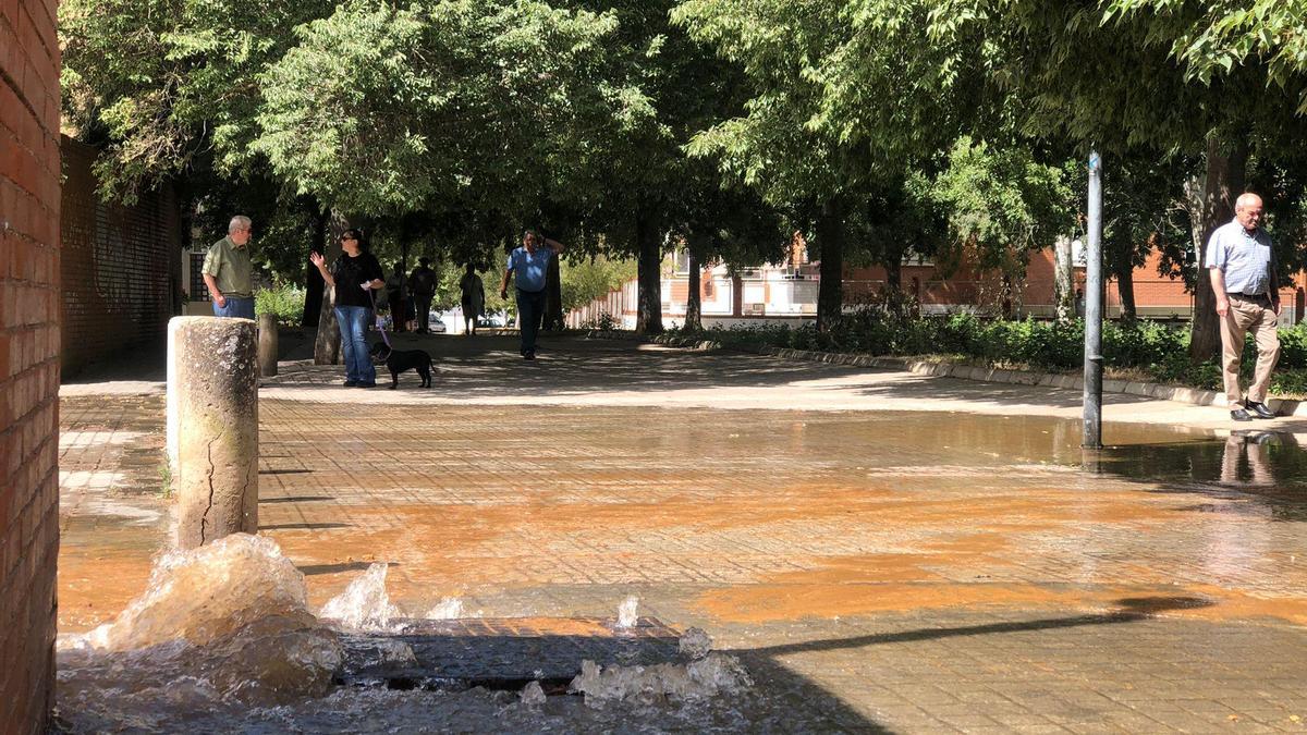 El agua mana tras la rotura de una tubería junto al Banco de España este miércoles.