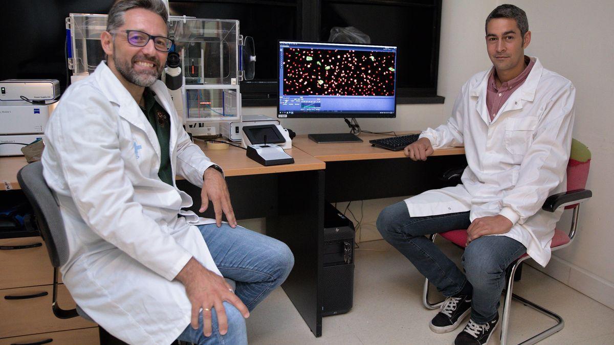 Otín y su equipo identifican los genes que llevan a infectarse de Covid-19.