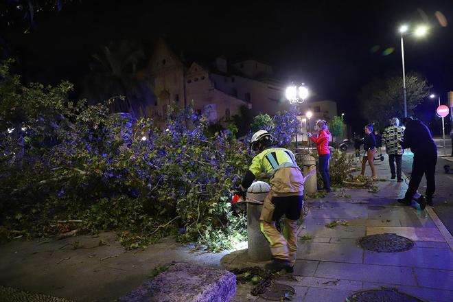 Los efectos del temporal el domingo por la noche en Córdoba, en imágenes