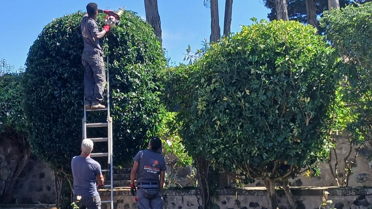 Trabajo de migrantes dentro del centro de inclusión en el Convento de las Dominicas de Teror.