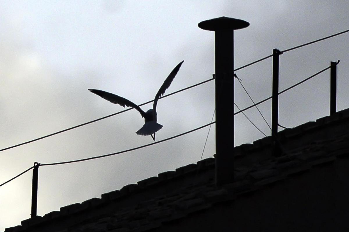 La chimenea sobre la Capilla Sixtina por la que saldrá la fumata que anunciará la elección del nuevo Pontífice.