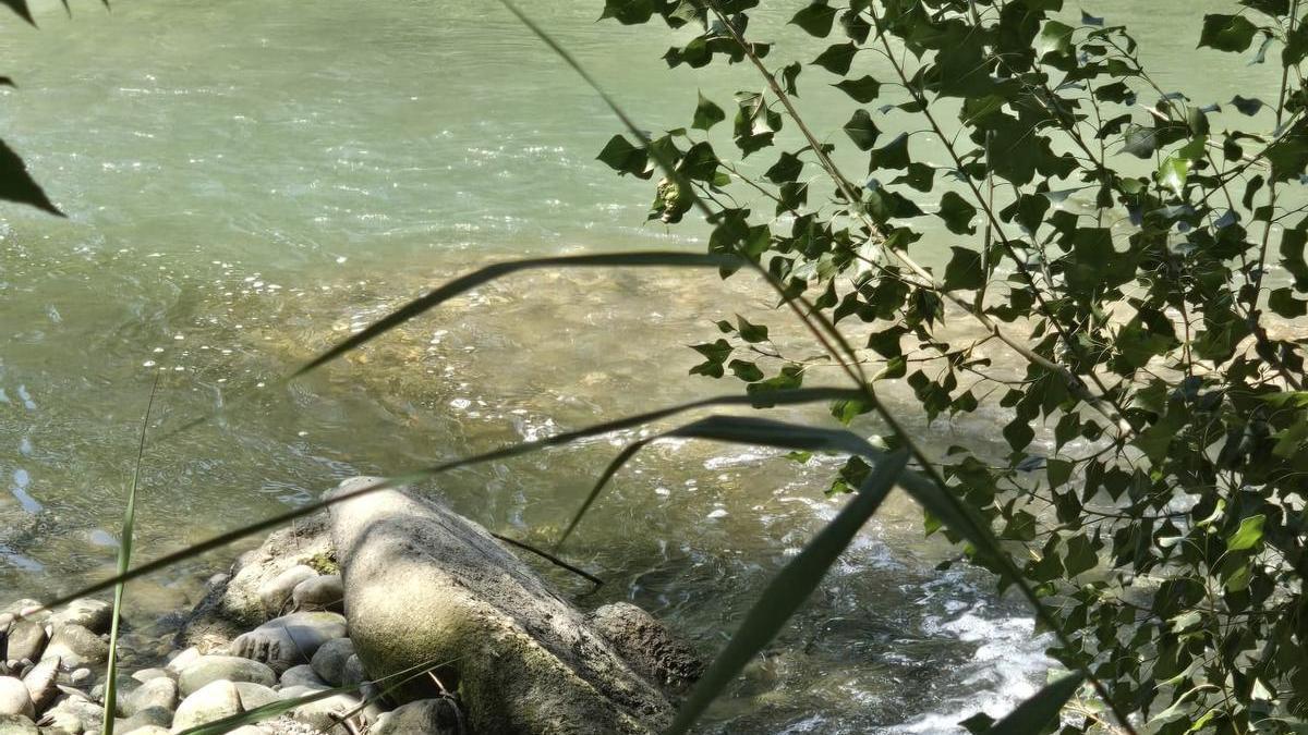 IU denuncia el vertido de aguas residuales al río Cinca en Monzón.