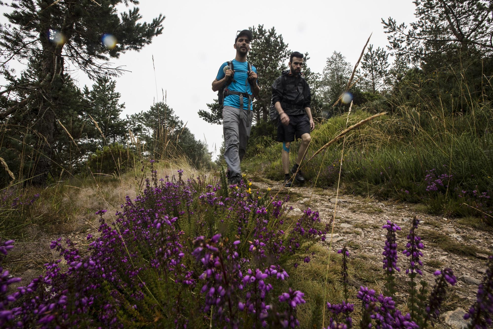 Donde el Camino se va de Asturias