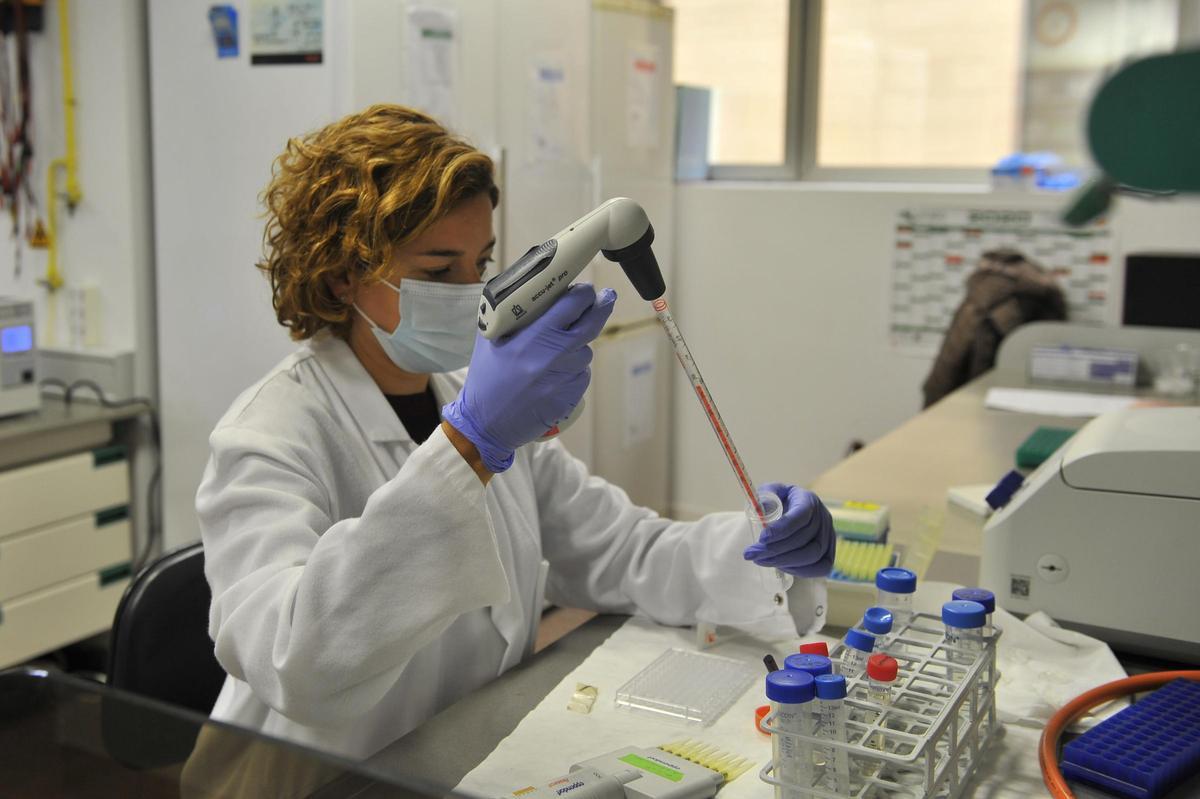 Proyecto de inmunoterapia para el cáncer a cargo del Instituto de Biotecnología de la UMH de Elche
