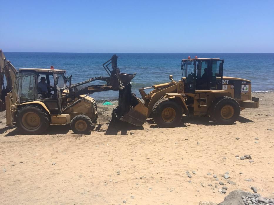 Localizado un delfín sin vida en Bahía Feliz