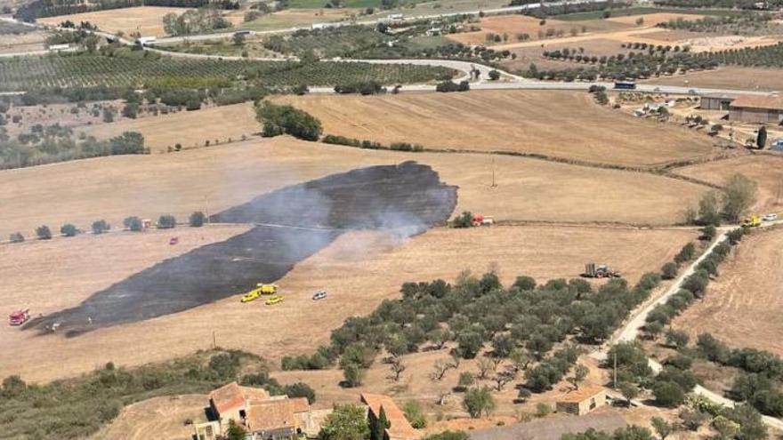 Un foc crema vegetació agrícola a Pont de Molins