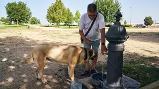 El Canal de Isabel II chequea la red para prevenir casos de legionela en Cáceres