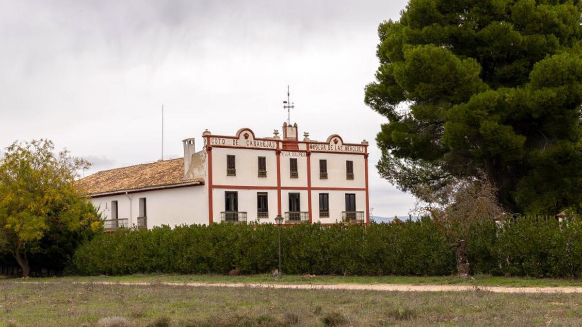 Bodega situada a los pies del Parque Natural de las Hoces del Cabriel.