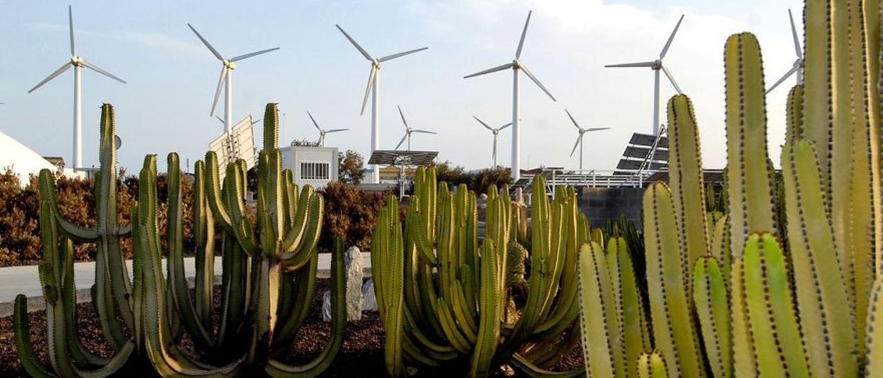 Parque eólico del Archipiélago.