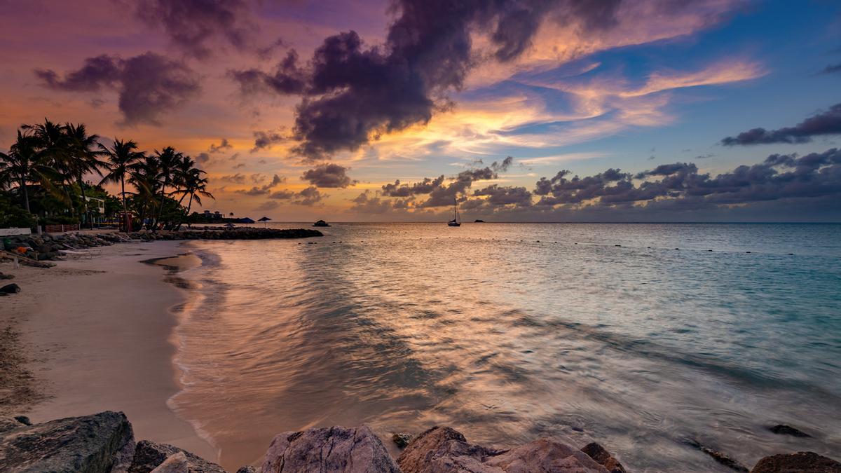 La isla caribeña que pasó de árida a un vergel de flora y fauna en 7 años