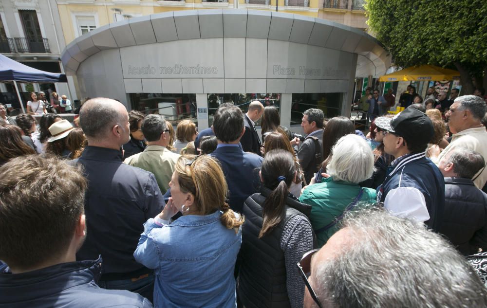 Inauguración del nuevo acuario