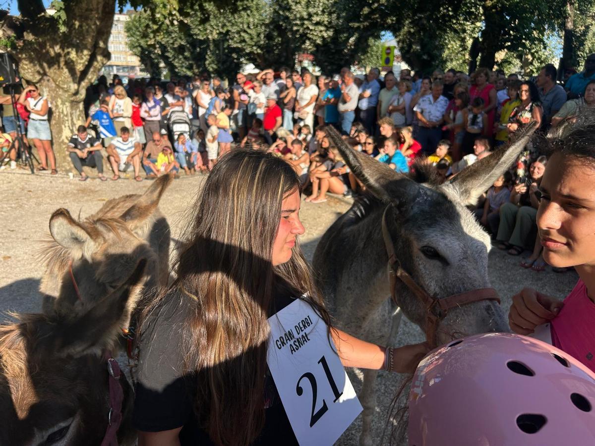 O Gran Derbi Asnal regresa a Padrón en clave de homenaxe aos burros fariñeiros