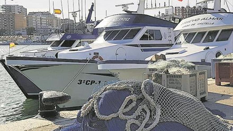 Vinaròs, la capital del boquerón con 20.000 kilos de pesca al día