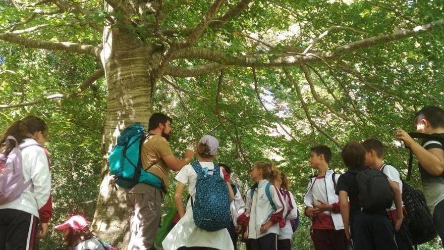 El verano llega a la Red Natural de Aragón con más de cien actividades