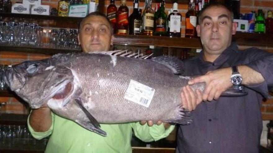 Marco Vega y Juan Prieto, con el mero de 16 kilos.