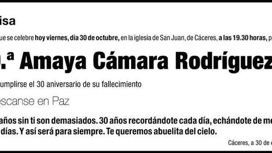 D.ª Amaya Cámara Rodríguez