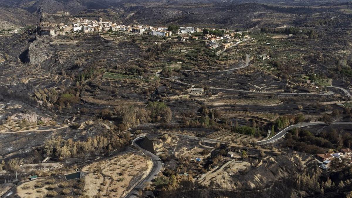 Las consecuencias del incendio de Bejís, a vista de dron.