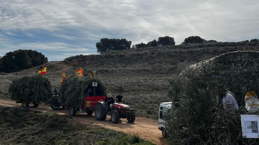 Los remolques decorados y enramados se dirigen a la ermita. | SERVICIO ESPECIAL