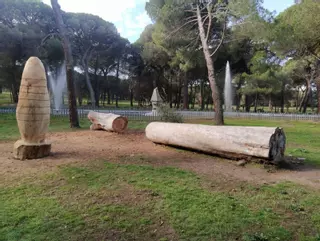 Casa en Zamora para abejas solitarias