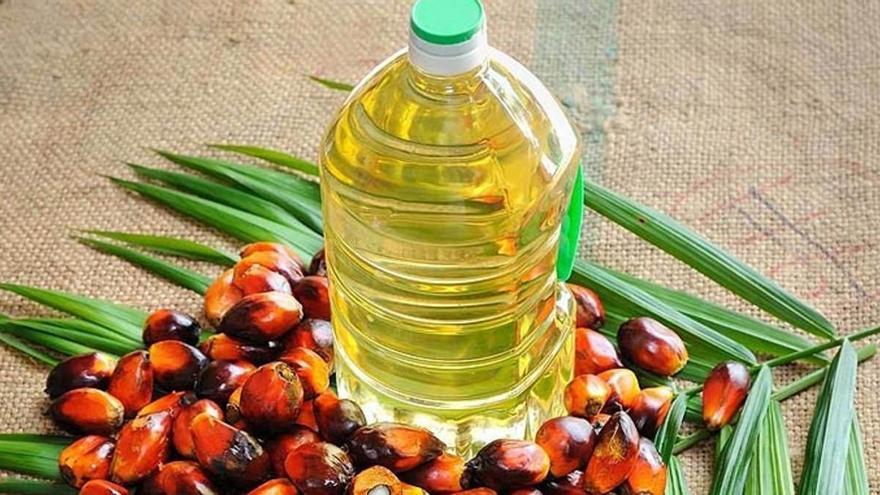 La discusión del aceite de palma