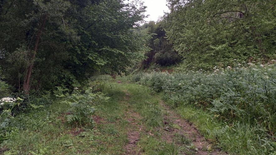 El Concello de Pontevedra contrata a tres personas para desatascar más de mil expedientes