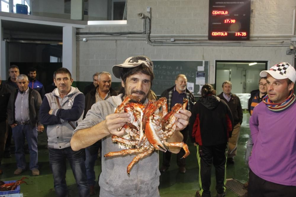 Apertura de la veda de la centolla en O Morrazo