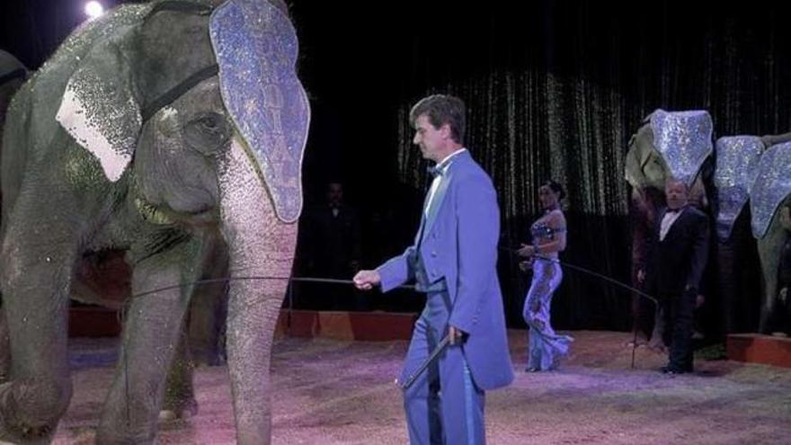 Cayetano Martínez de Irujo y el elefante