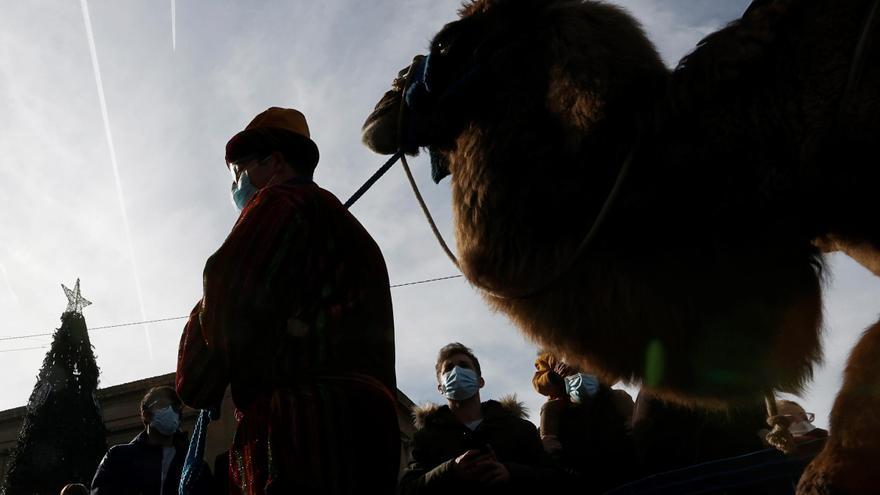 Un centenar de artistas piden que no haya animales en las cabalgatas de Reyes