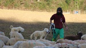 Arnau junto a sus ovejas