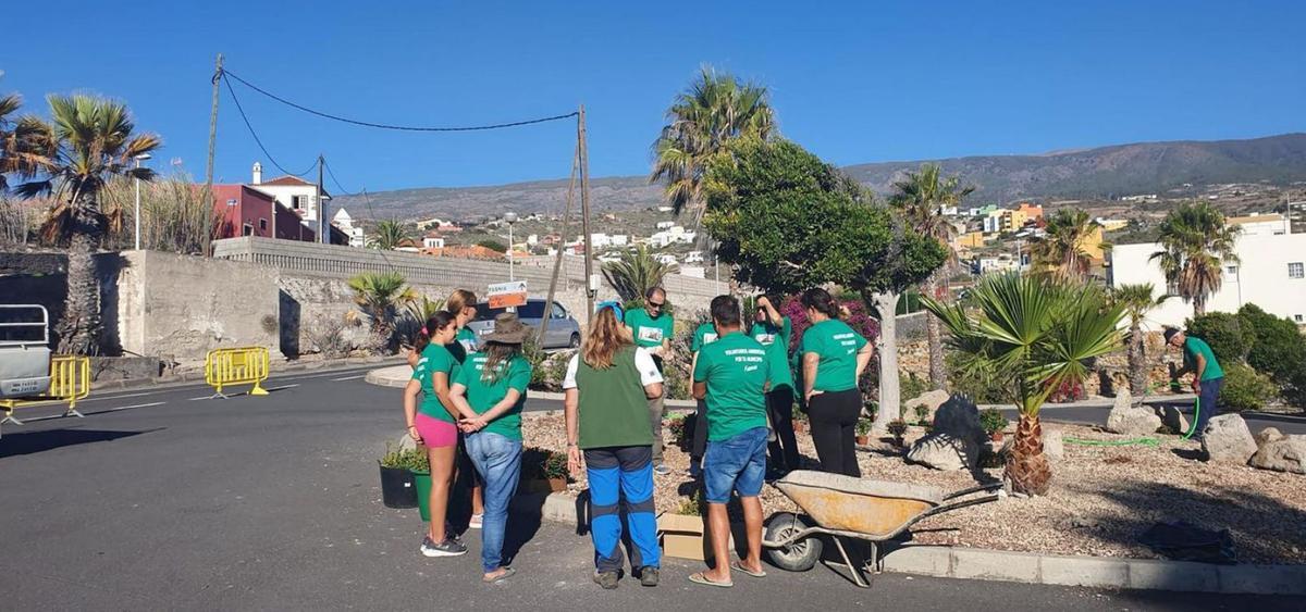 Actuación, con el asesoramiento de la Oficina del Voluntariado, en un entorno semiurbano de la Isla.