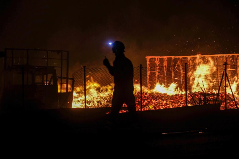 Un espectacular incendio calcina una fábrica de palets en La Marina.