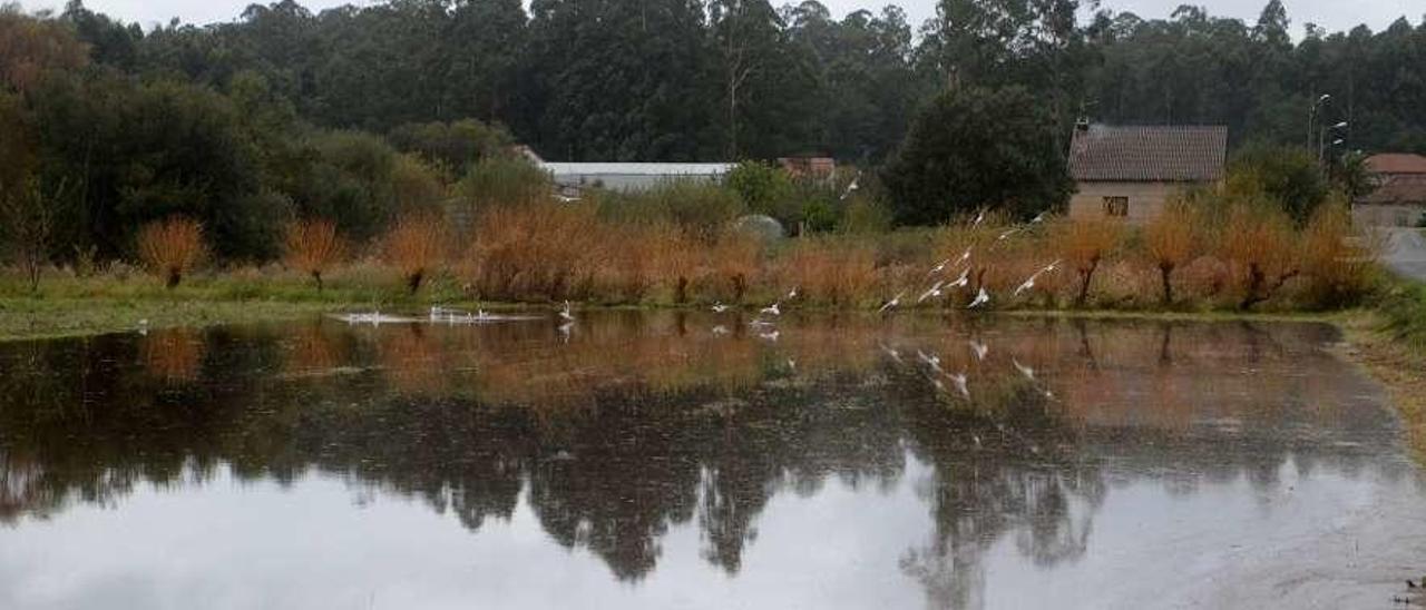 El desbordamiento del río Umia anegó numerosas fincas en O Salnés. // Noé Parga