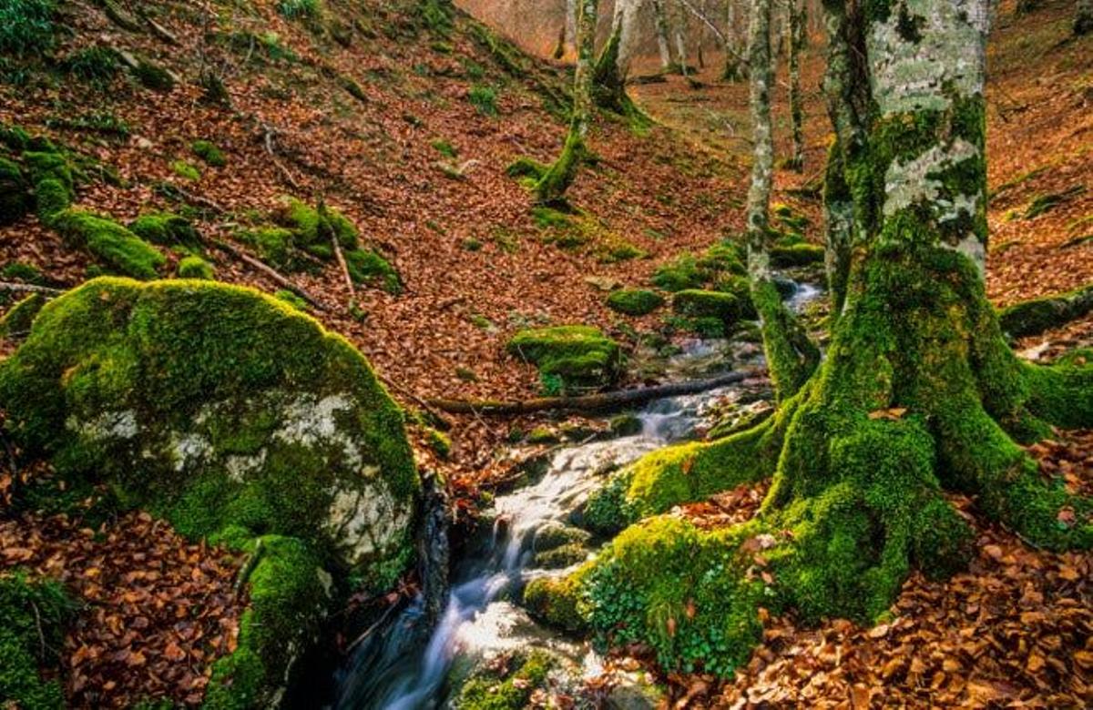 Tejera de Tosande (Palencia)