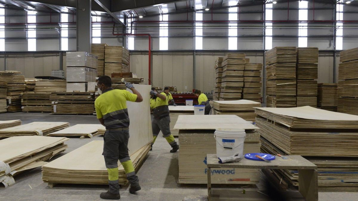 Trabajadores de Losán durante el periodo más activo de la planta de Villabrázaro.